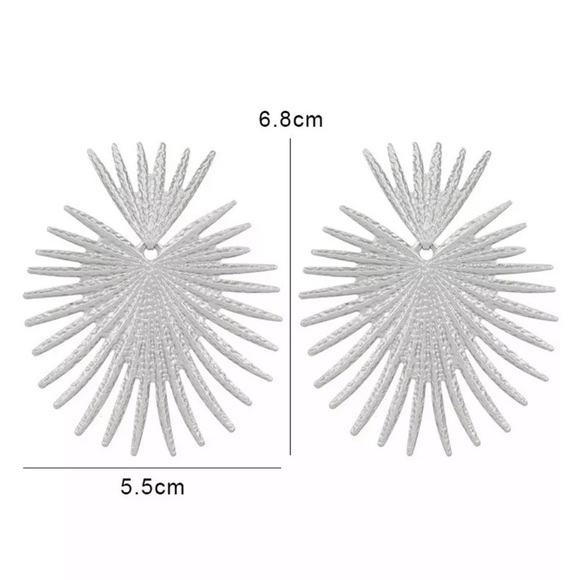 🌟 Big Silver Earrings - Picture 2 of 4